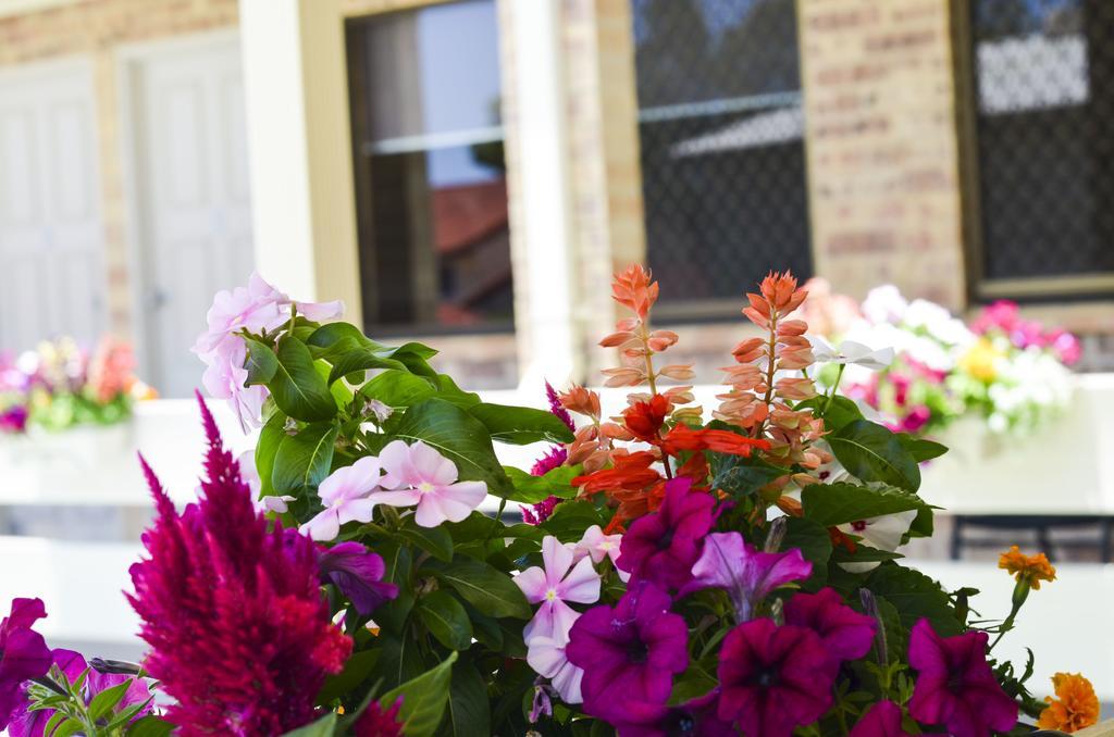Golden Beach Motor Inn, Caloundra Esterno foto